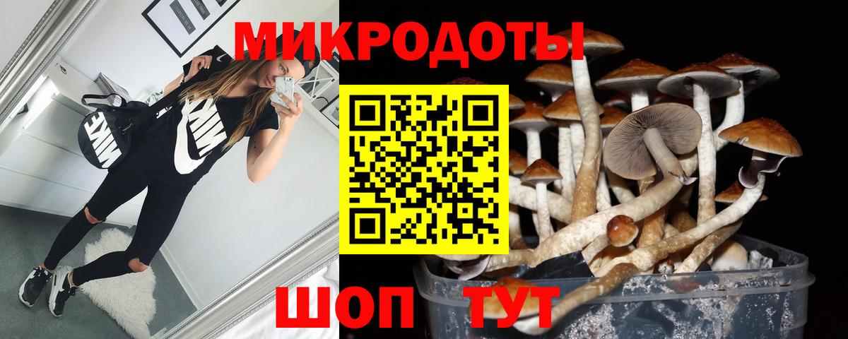 Псилоцибиновые грибы мицелий  Вход с VPN  Сафоново  Галлюциногенные грибы мицелий 