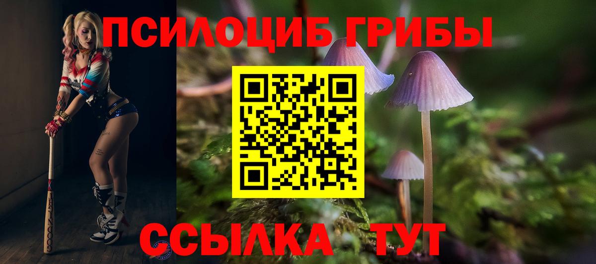 Галлюциногенные грибы MAGIC MUSHROOMS Сафоново